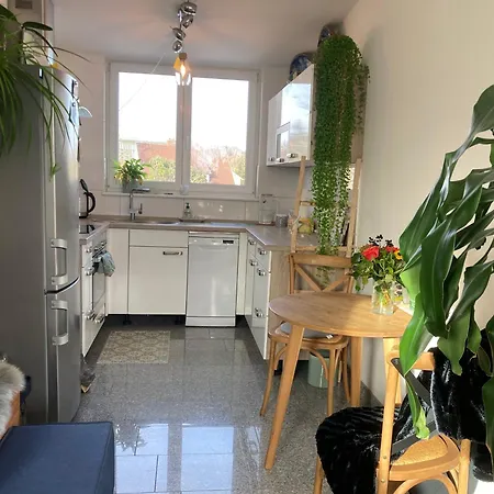 Schoene Und Helle 2 Zi Fuer Alleinreisende Ravensburg