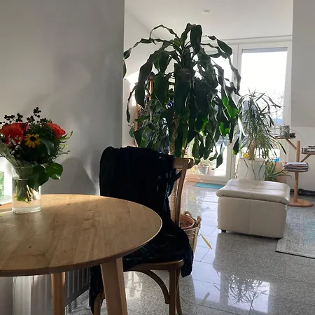 Lägenhet Schoene Und Helle 2 Zi Fuer Alleinreisende